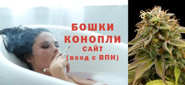 PSILOCYBIN Новодвинск