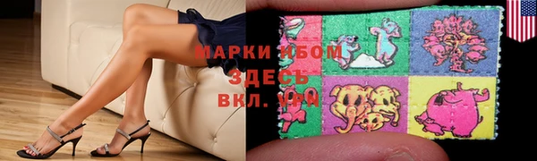индика Абинск