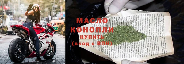 индика Абинск